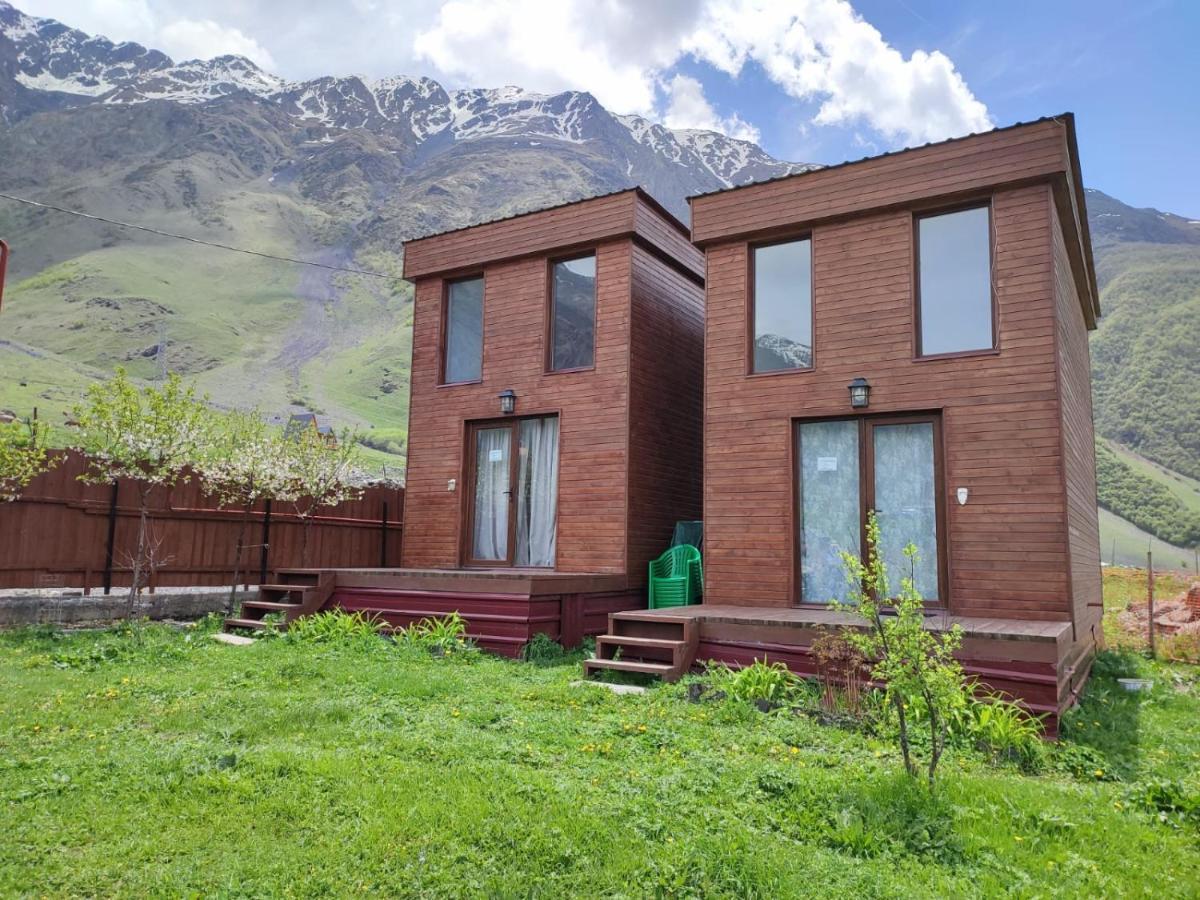 T&M Timeless Memories Lägenhet Kazbegi Exteriör bild